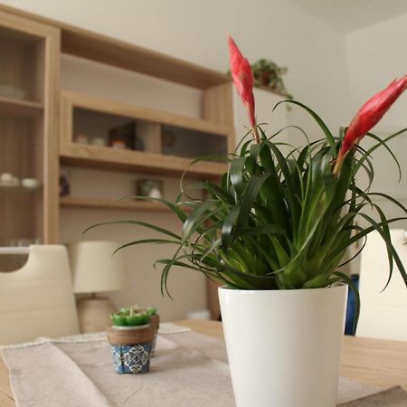 Ohana: Casa Nel Centro Di Lecce Luaran gambar