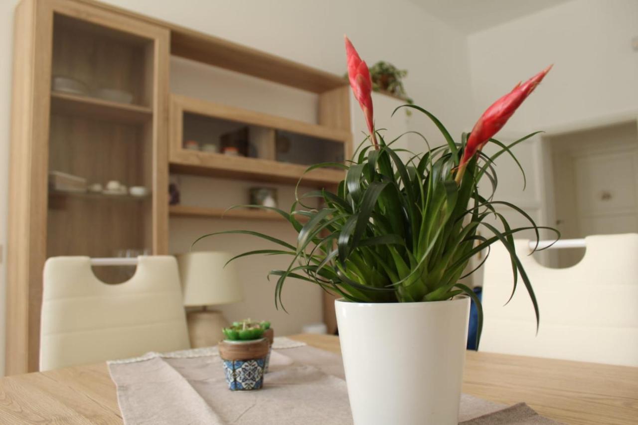 Ohana: Casa Nel Centro Di Lecce Luaran gambar